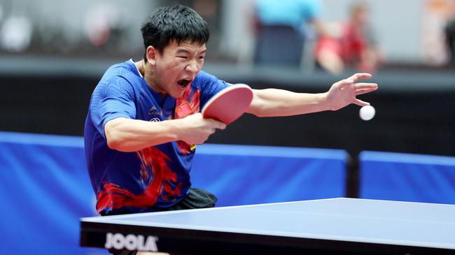 而托迪博的 而托迪博的