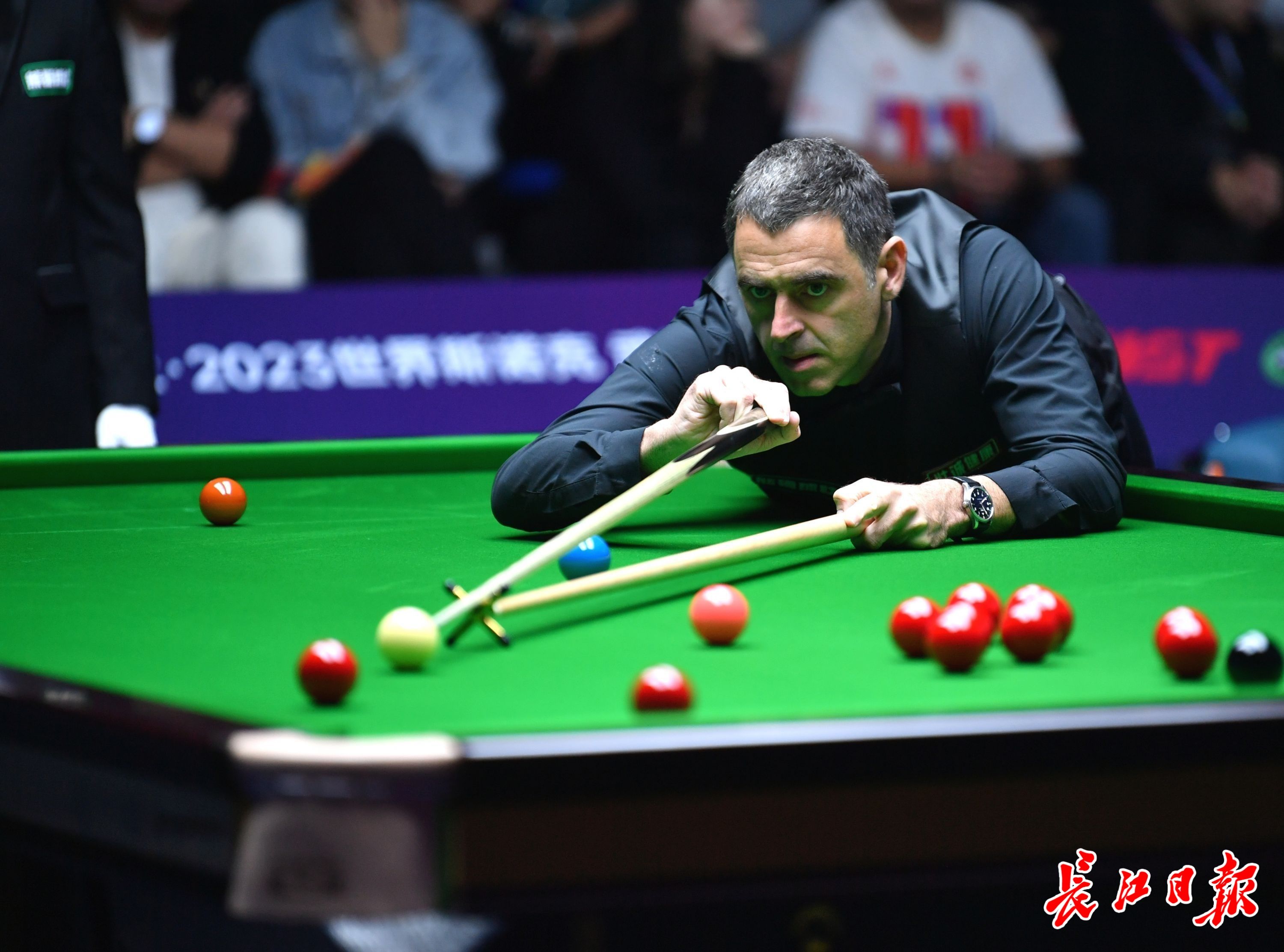 不仅唤起了 不仅唤起了