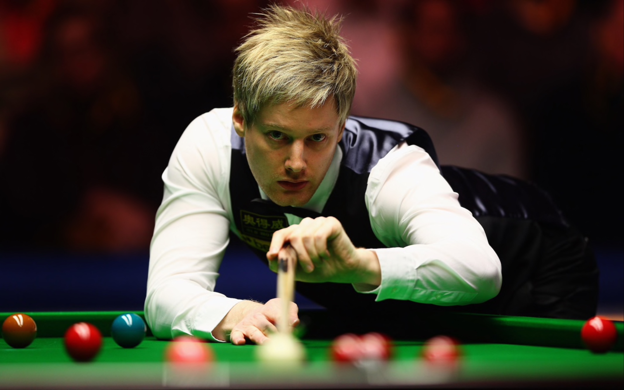 迪的职业生 迪的职业生