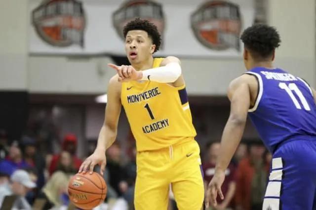 成熟战术素 成熟战术素